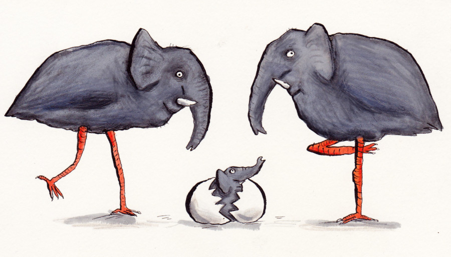 Elephant egg illustration