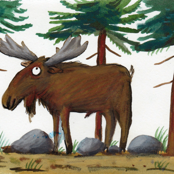 moose illustration