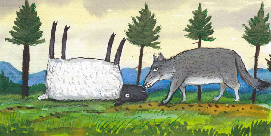 Wolf and sheep illustration
